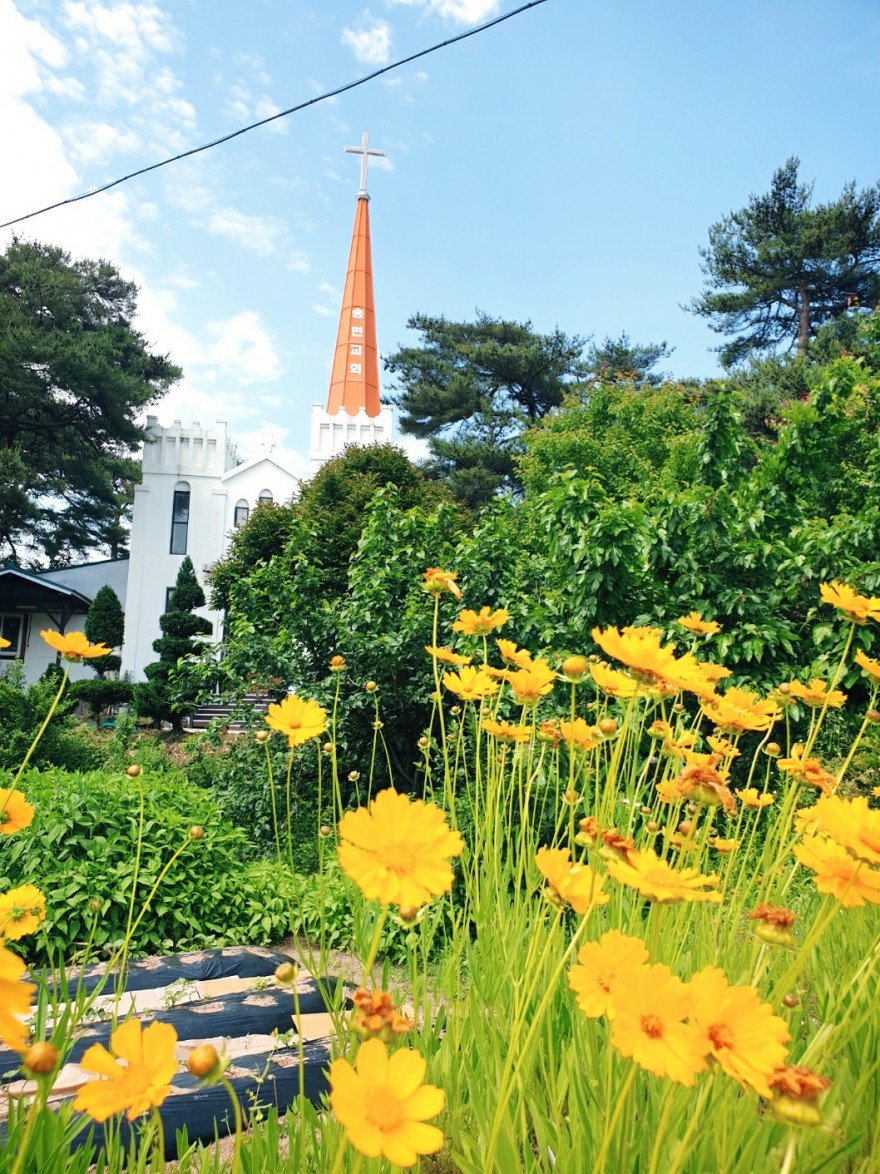 온누리 남성선교합창단 / 사진첩 